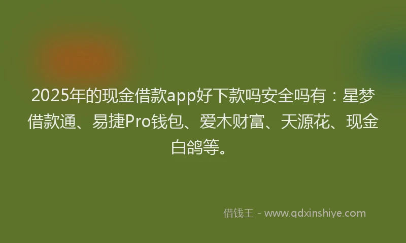 2025年的现金借款app好下款吗安全吗有：星梦借款通、易捷Pro钱包、爱木财富、天源花、现金白鸽等。