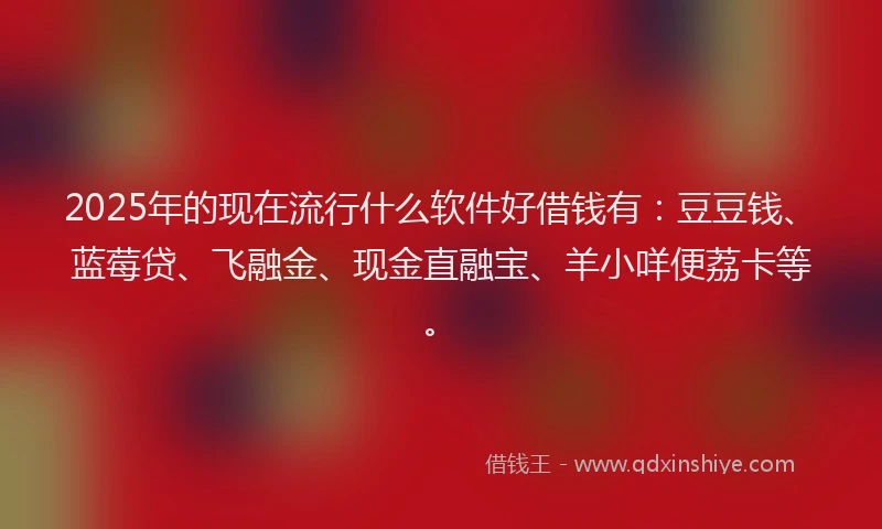 2025年的现在流行什么软件好借钱有：豆豆钱、蓝莓贷、飞融金、现金直融宝、羊小咩便荔卡等。