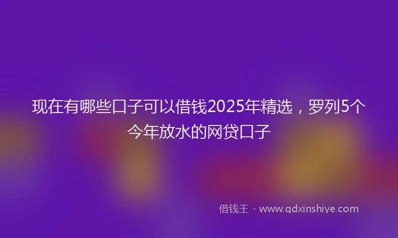 现在有哪些口子可以借钱2025年精选，罗列5个今年放水的网贷口子
