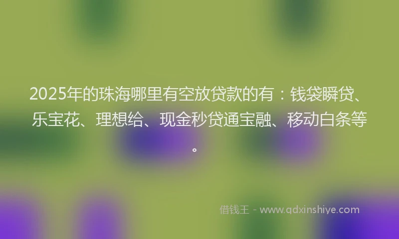 2025年的珠海哪里有空放贷款的有：钱袋瞬贷、乐宝花、理想给、现金秒贷通宝融、移动白条等。