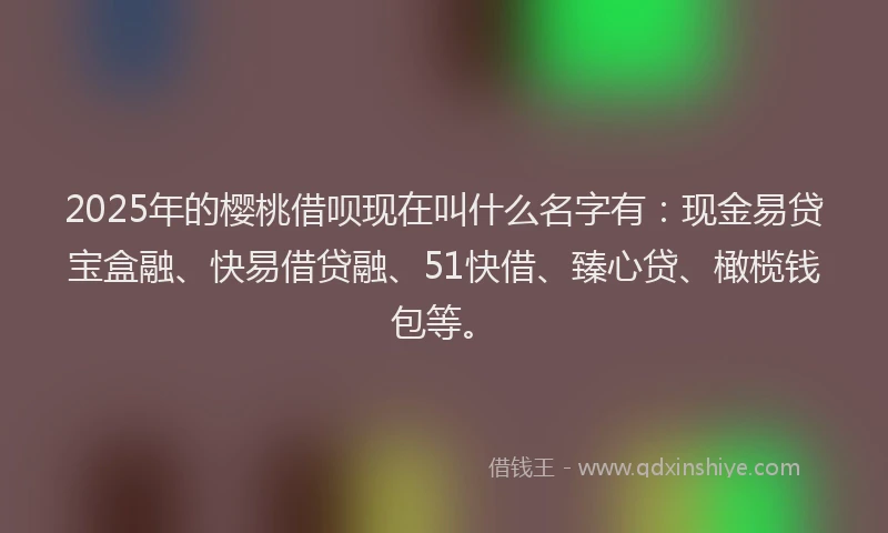 2025年的樱桃借呗现在叫什么名字有：现金易贷宝盒融、快易借贷融、51快借、臻心贷、橄榄钱包等。