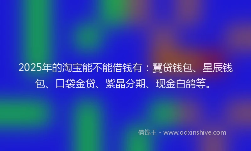 2025年的淘宝能不能借钱有：翼贷钱包、星辰钱包、口袋金贷、紫晶分期、现金白鸽等。