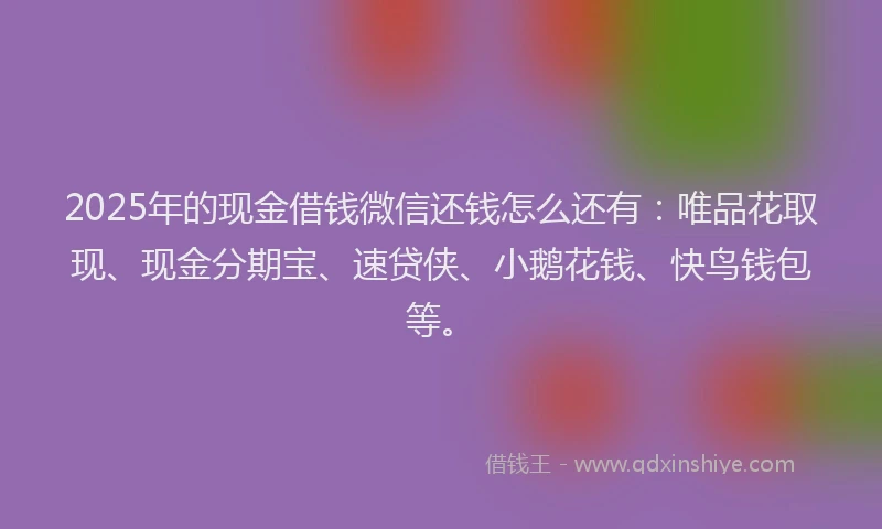2025年的现金借钱微信还钱怎么还有：唯品花取现、现金分期宝、速贷侠、小鹅花钱、快鸟钱包等。
