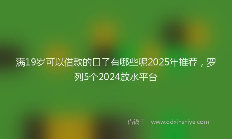 满19岁可以借款的口子有哪些呢2025年推荐，罗列5个2024放水平台