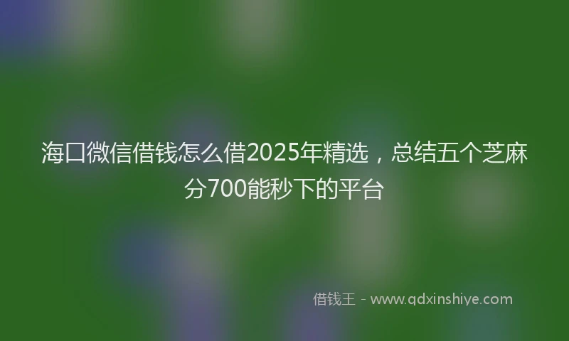 海口微信借钱怎么借2025年精选，总结五个芝麻分700能秒下的平台