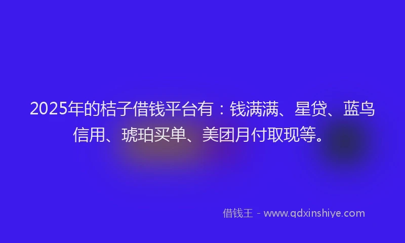 2025年的桔子借钱平台有：钱满满、星贷、蓝鸟信用、琥珀买单、美团月付取现等。