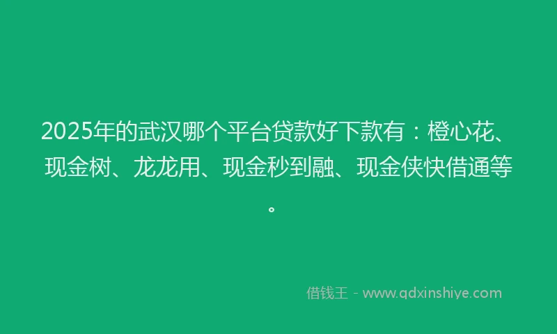 2025年的武汉哪个平台贷款好下款有：橙心花、现金树、龙龙用、现金秒到融、现金侠快借通等。