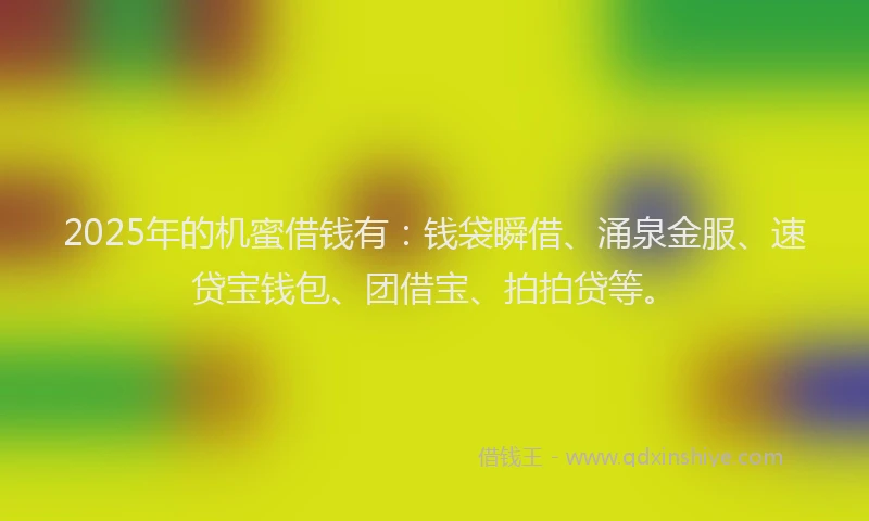2025年的机蜜借钱有：钱袋瞬借、涌泉金服、速贷宝钱包、团借宝、拍拍贷等。