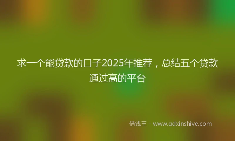 求一个能贷款的口子2025年推荐，总结五个贷款通过高的平台