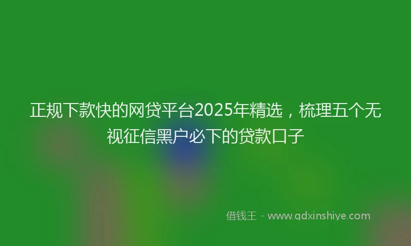 正规下款快的网贷平台2025年精选，梳理五个无视征信黑户必下的贷款口子