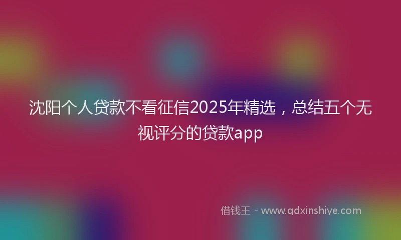 沈阳个人贷款不看征信2025年精选，总结五个无视评分的贷款app