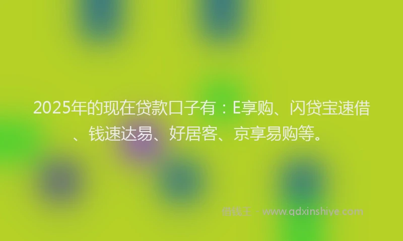 2025年的现在贷款口子有：E享购、闪贷宝速借、钱速达易、好居客、京享易购等。