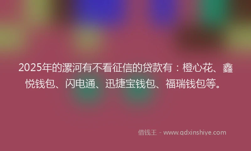 2025年的漯河有不看征信的贷款有：橙心花、鑫悦钱包、闪电通、迅捷宝钱包、福瑞钱包等。