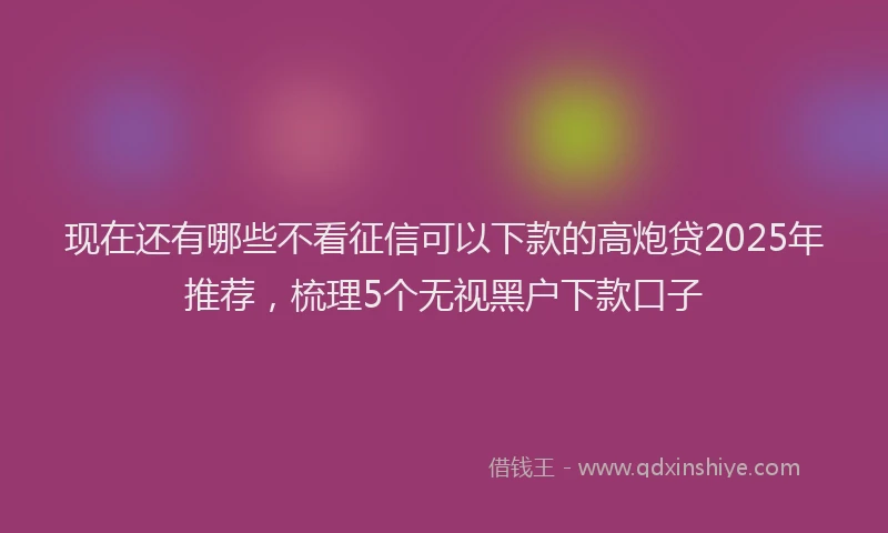 现在还有哪些不看征信可以下款的高炮贷2025年推荐，梳理5个无视黑户下款口子