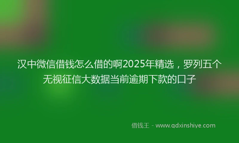汉中微信借钱怎么借的啊2025年精选，罗列五个无视征信大数据当前逾期下款的口子
