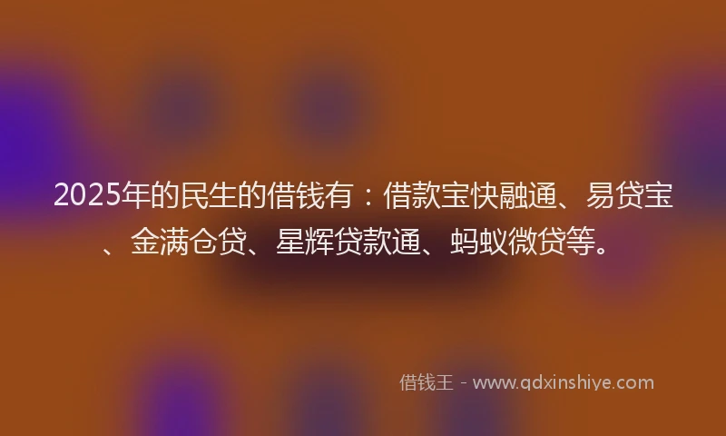 2025年的民生的借钱有：借款宝快融通、易贷宝、金满仓贷、星辉贷款通、蚂蚁微贷等。