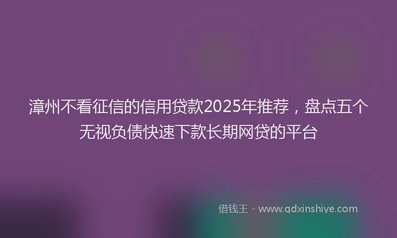 漳州不看征信的信用贷款2025年推荐，盘点五个无视负债快速下款长期网贷的平台