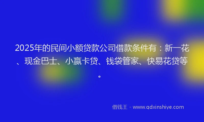 2025年的民间小额贷款公司借款条件有：新一花、现金巴士、小赢卡贷、钱袋管家、快易花贷等。