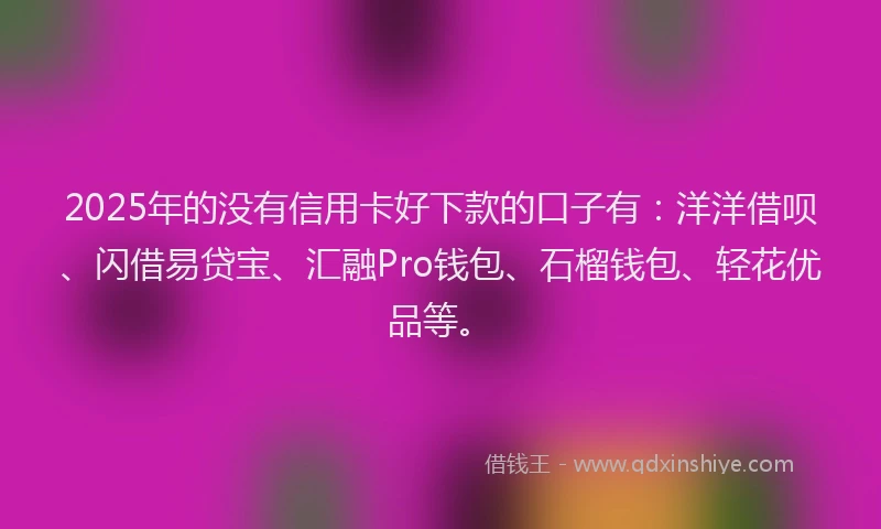 2025年的没有信用卡好下款的口子有：洋洋借呗、闪借易贷宝、汇融Pro钱包、石榴钱包、轻花优品等。