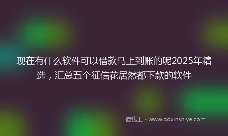 现在有什么软件可以借款马上到账的呢2025年精选，汇总五个征信花居然都下款的软件