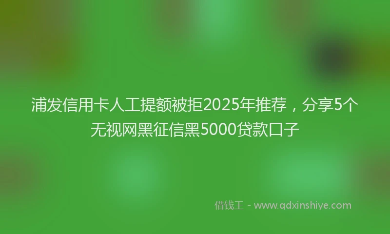 浦发信用卡人工提额被拒2025年推荐，分享5个无视网黑征信黑5000贷款口子