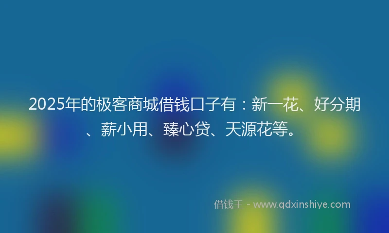 2025年的极客商城借钱口子有：新一花、好分期、薪小用、臻心贷、天源花等。
