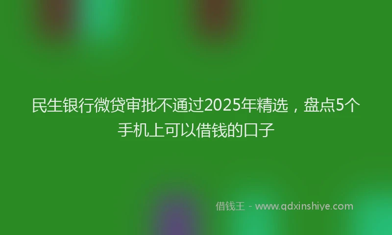 民生银行微贷审批不通过2025年精选，盘点5个手机上可以借钱的口子