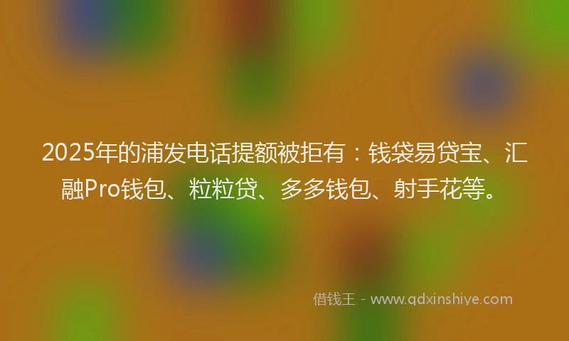 2025年的浦发电话提额被拒有：钱袋易贷宝、汇融Pro钱包、粒粒贷、多多钱包、射手花等。