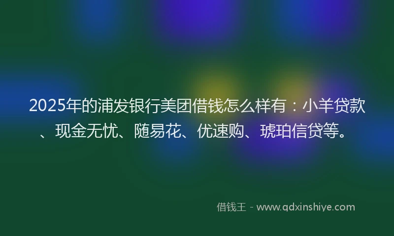 2025年的浦发银行美团借钱怎么样有：小羊贷款、现金无忧、随易花、优速购、琥珀信贷等。