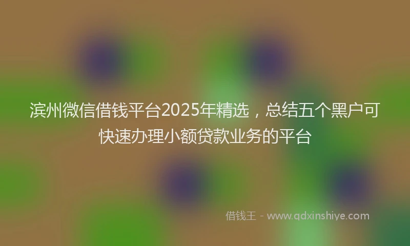 滨州微信借钱平台2025年精选，总结五个黑户可快速办理小额贷款业务的平台