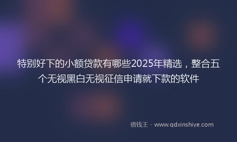 特别好下的小额贷款有哪些2025年精选，整合五个无视黑白无视征信申请就下款的软件