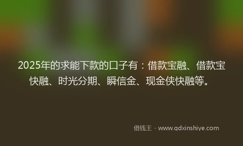 2025年的求能下款的口子有：借款宝融、借款宝快融、时光分期、瞬信金、现金侠快融等。