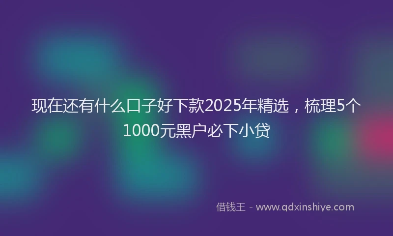 现在还有什么口子好下款2025年精选，梳理5个1000元黑户必下小贷