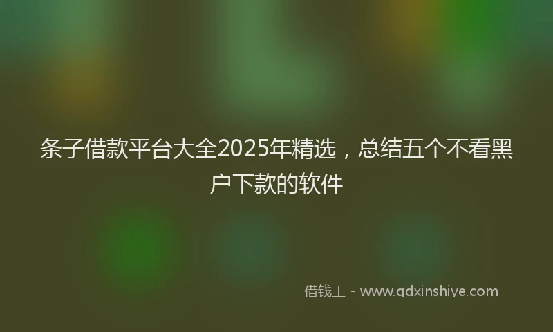 条子借款平台大全2025年精选，总结五个不看黑户下款的软件