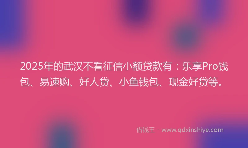 2025年的武汉不看征信小额贷款有：乐享Pro钱包、易速购、好人贷、小鱼钱包、现金好贷等。
