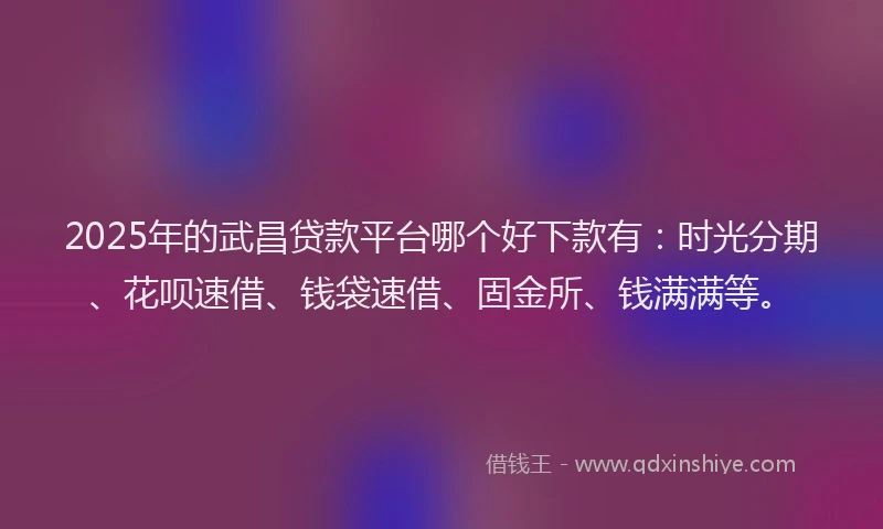 2025年的武昌贷款平台哪个好下款有：时光分期、花呗速借、钱袋速借、固金所、钱满满等。
