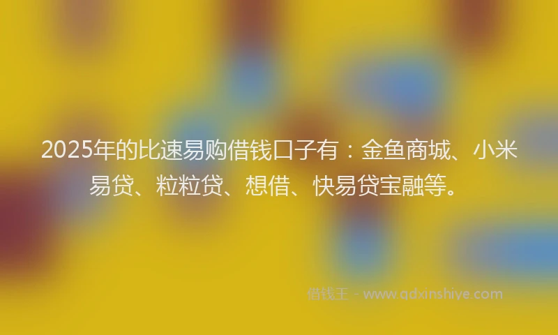 2025年的比速易购借钱口子有：金鱼商城、小米易贷、粒粒贷、想借、快易贷宝融等。