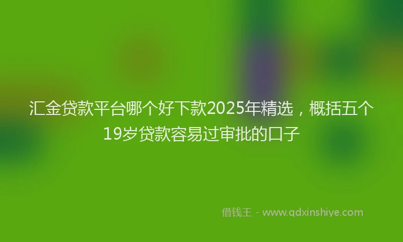 汇金贷款平台哪个好下款2025年精选，概括五个19岁贷款容易过审批的口子