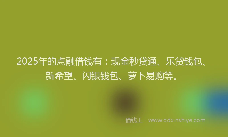 2025年的点融借钱有：现金秒贷通、乐贷钱包、新希望、闪银钱包、萝卜易购等。