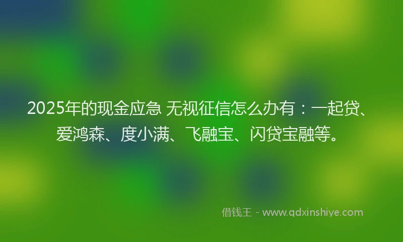 2025年的现金应急 无视征信怎么办有：一起贷、爱鸿森、度小满、飞融宝、闪贷宝融等。
