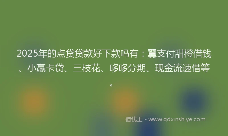 2025年的点贷贷款好下款吗有：翼支付甜橙借钱、小赢卡贷、三枝花、哆哆分期、现金流速借等。