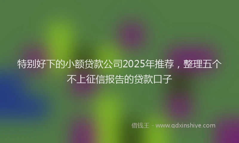 特别好下的小额贷款公司2025年推荐，整理五个不上征信报告的贷款口子