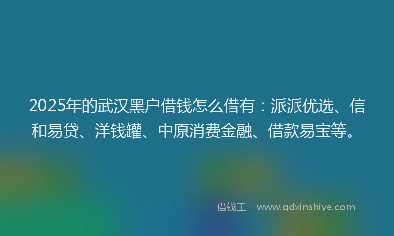 2025年的武汉黑户借钱怎么借有：派派优选、信和易贷、洋钱罐、中原消费金融、借款易宝等。