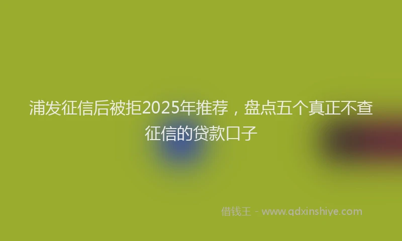 浦发征信后被拒2025年推荐，盘点五个真正不查征信的贷款口子