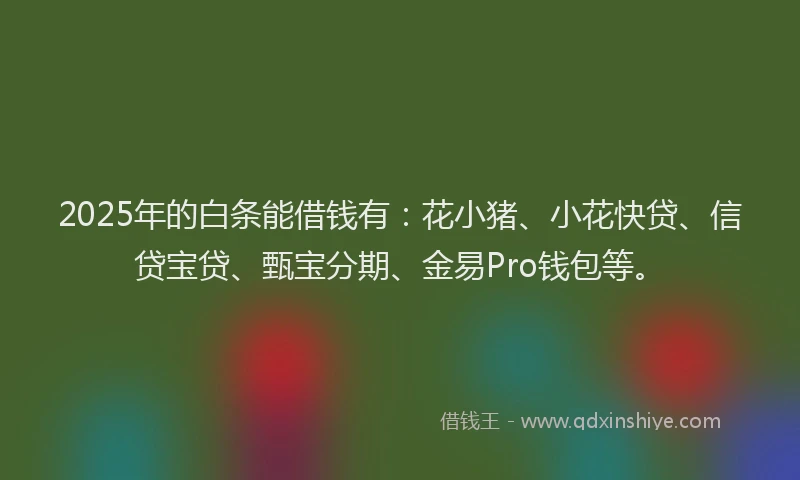 2025年的白条能借钱有：花小猪、小花快贷、信贷宝贷、甄宝分期、金易Pro钱包等。