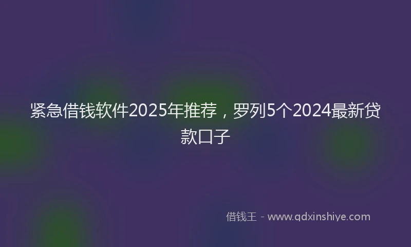 紧急借钱软件2025年推荐，罗列5个2024最新贷款口子