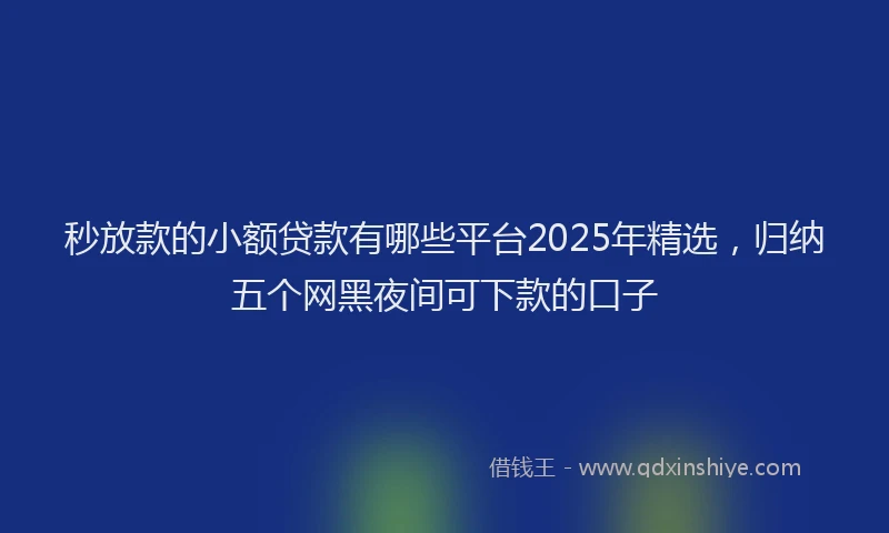 秒放款的小额贷款有哪些平台2025年精选，归纳五个网黑夜间可下款的口子