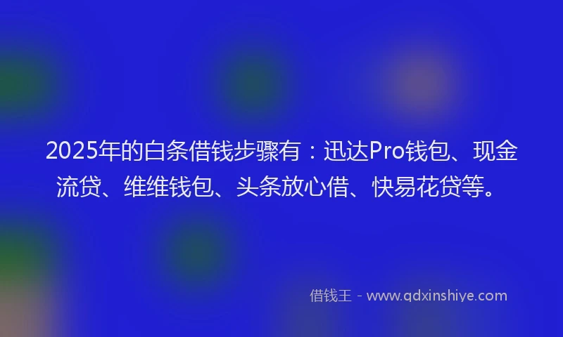 2025年的白条借钱步骤有：迅达Pro钱包、现金流贷、维维钱包、头条放心借、快易花贷等。