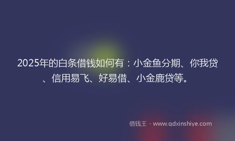 2025年的白条借钱如何有：小金鱼分期、你我贷、信用易飞、好易借、小金鹿贷等。