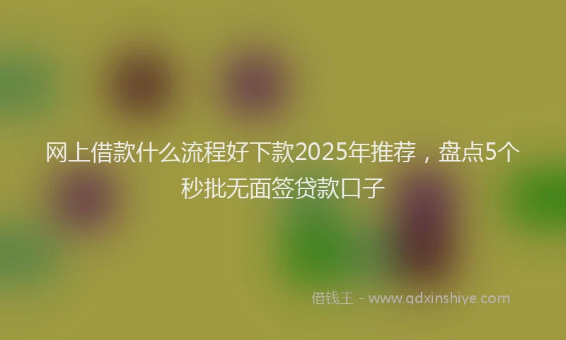 网上借款什么流程好下款2025年推荐，盘点5个秒批无面签贷款口子
